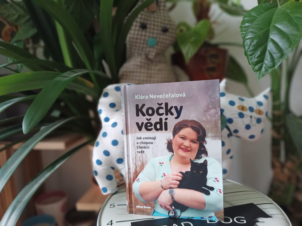 Jak vnímají a chápou člověčí svět? Recenze knihy KOČKY VĚDÍ 3 1000025935