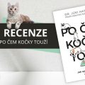 Recenze: Po čem kočky touží 6 100025270