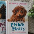 Příběh Molly z Psího poslání 3 63258