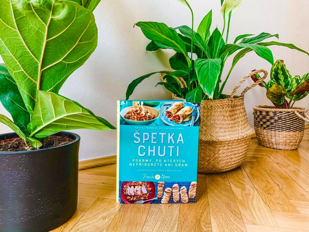 92289634 255160328985573 8842144967225769984 n