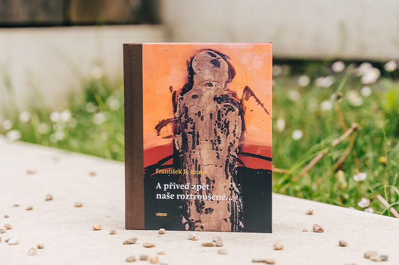 A přiveď zpět blog 1