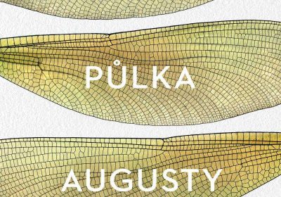 Druhá půlka Augusty Hopeové