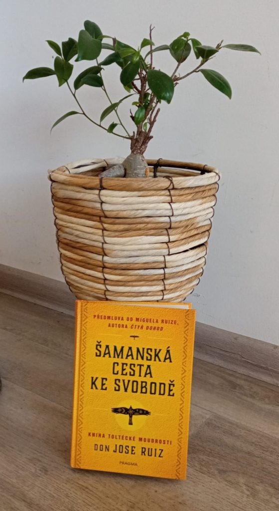 Transformační průvodce k sebepoznání: Recenze knihy Šamanská cesta ke svobodě 3 IMG 20260306 WA0000