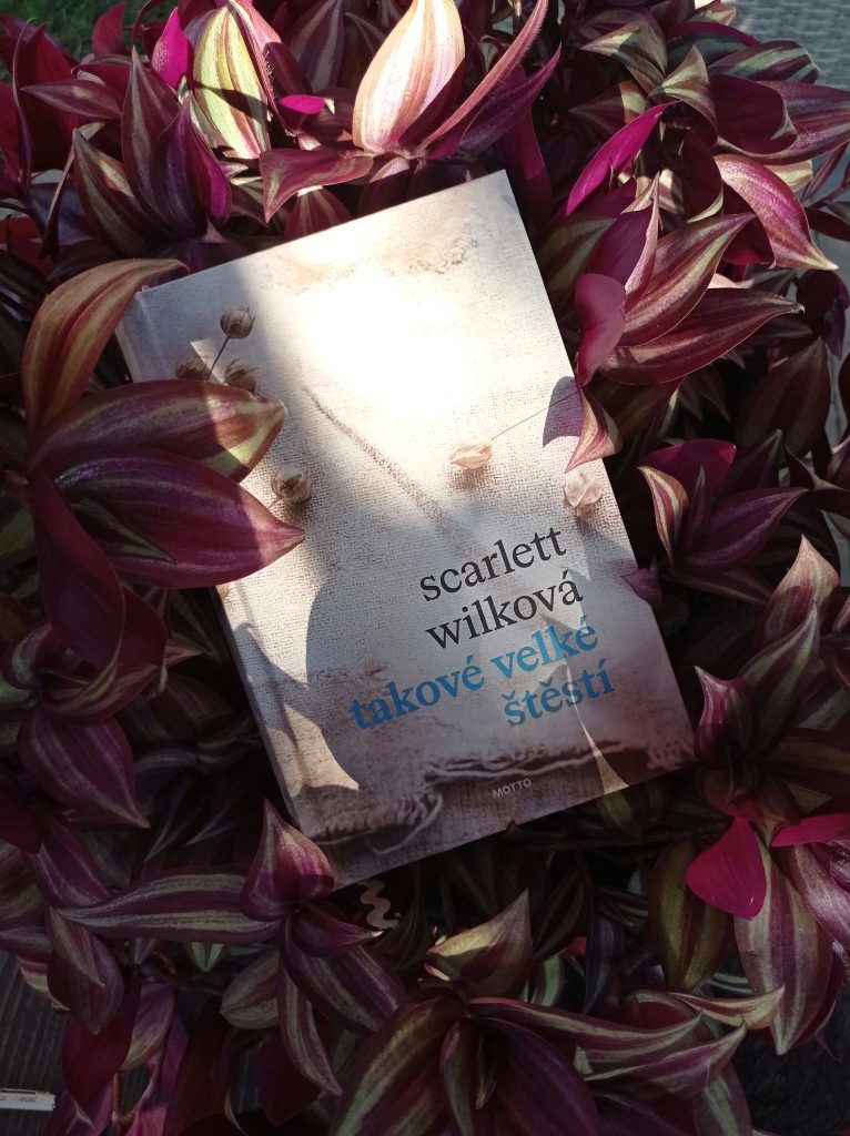 Život není vždycky fér: Recenze knihy Takové velké štěstí 4 IMG 20261029 WA0000