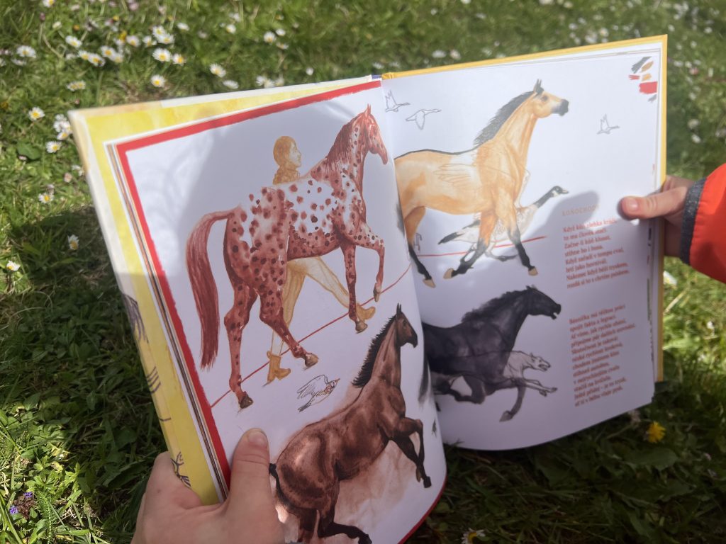 Když koně nejsou jen koně: Recenze knihy Koniny 3 IMG 5631