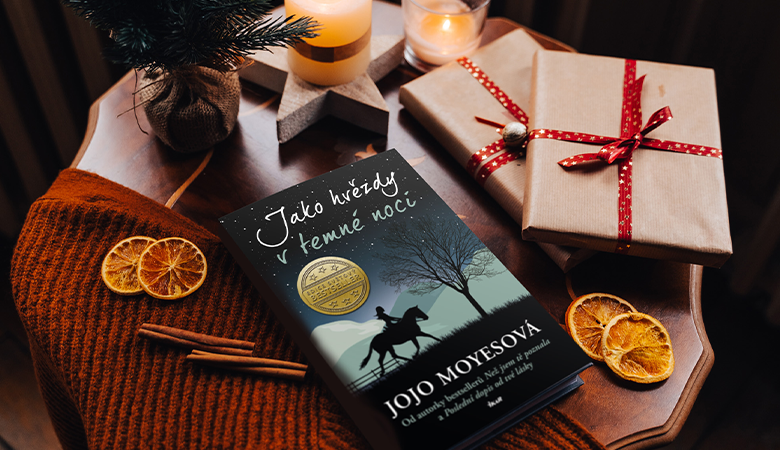 Lockdown ukázka blog