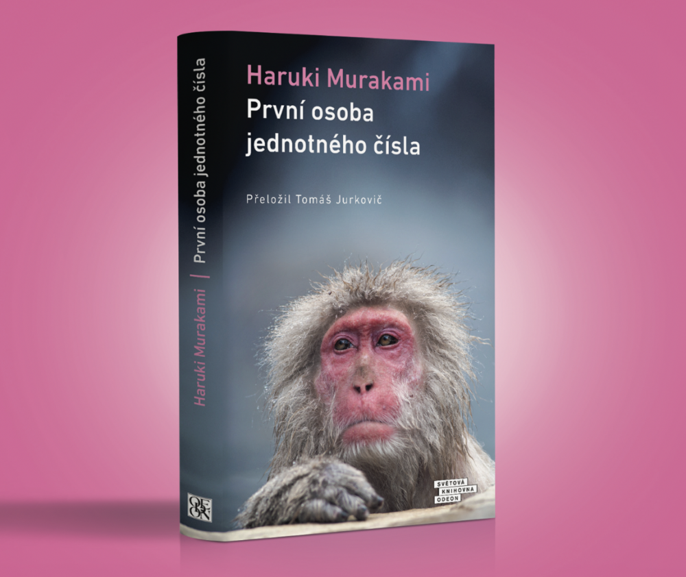 První osoba jednotného čísla