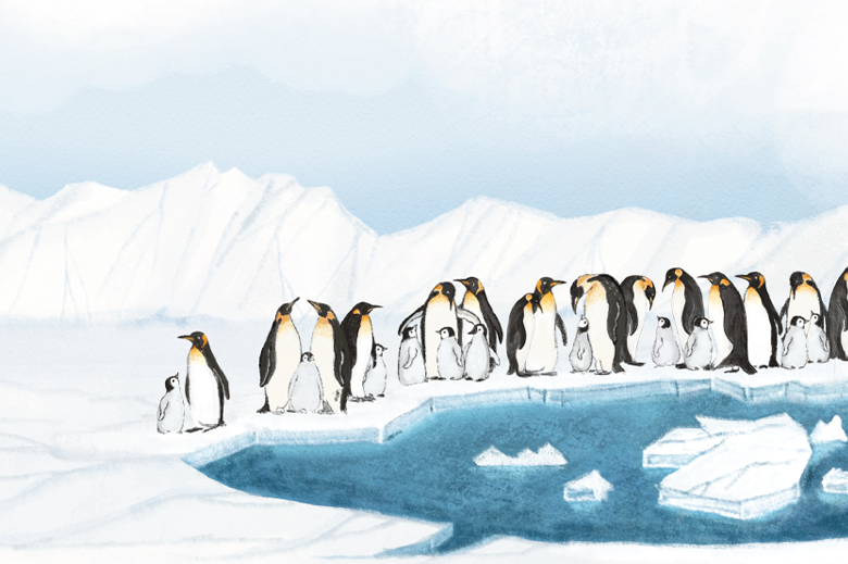 Za dobrodružstvím do země tučňáků 4 Stela blog2