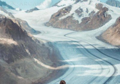 Vlčí štěstí