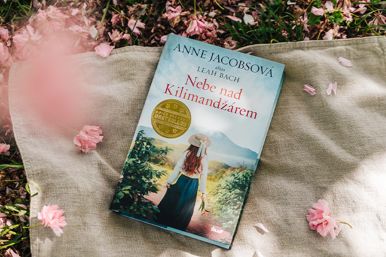 Fenomén: Knižní ságy 4 ságy blog 2