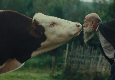 Raději zešílet v divočině